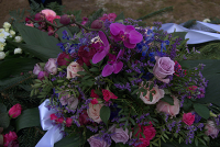 Blomster_paa_graven_12_syrenfarver.jpg